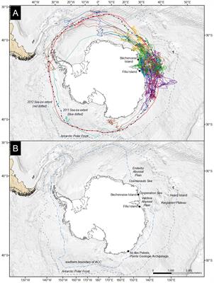 Marine distribution and habitat use by Snow Petrels Pagodroma nivea in East Antarctica throughout the non-breeding period